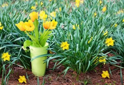 march newsletter