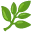 🌿