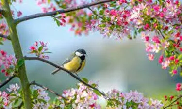 April Newsletter